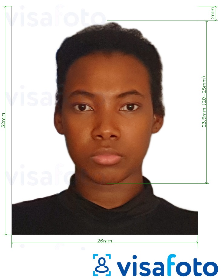 так көлөмү көрсөтүү менен Гайана паспорт 32x26 мм (1.26x1.02 дюйм) сүрөтү үлгүсү