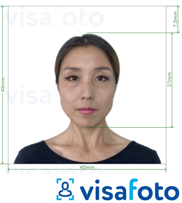 так көлөмү көрсөтүү менен Япония Visa 45x45mm, башчысы 27 мм сүрөтү үлгүсү