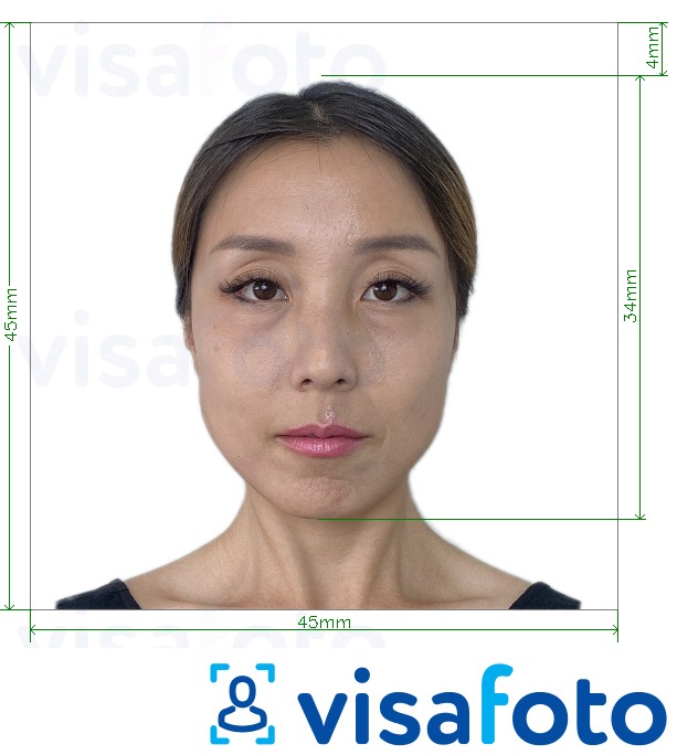 так көлөмү көрсөтүү менен Япония Visa 45x45mm, башчысы 34 мм сүрөтү үлгүсү
