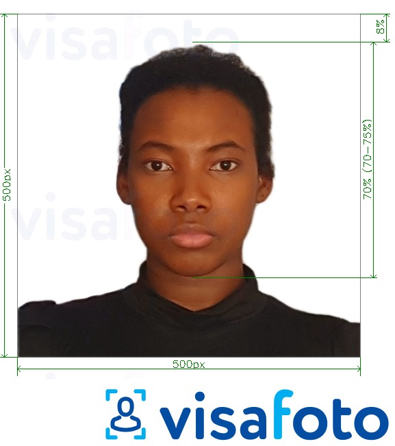 так көлөмү көрсөтүү менен Кения электрондук виза онлайн 500x500 пиксел сүрөтү үлгүсү